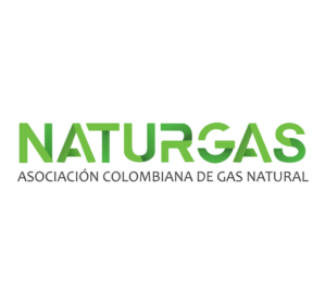 naturgas - logo